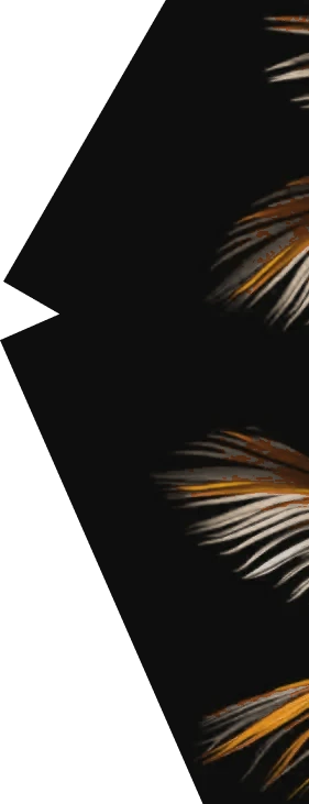 palms